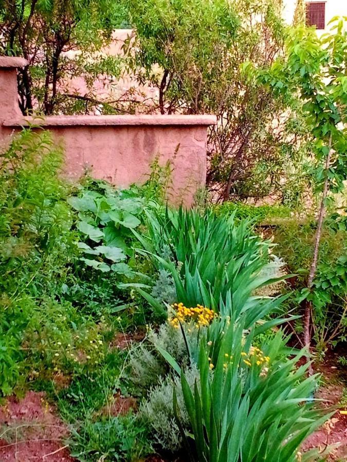 Toubkal Ecolodge Imlil  Exterior photo